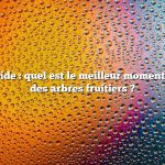 Réponse rapide : quel est le meilleur moment pour greffer des arbres fruitiers ?